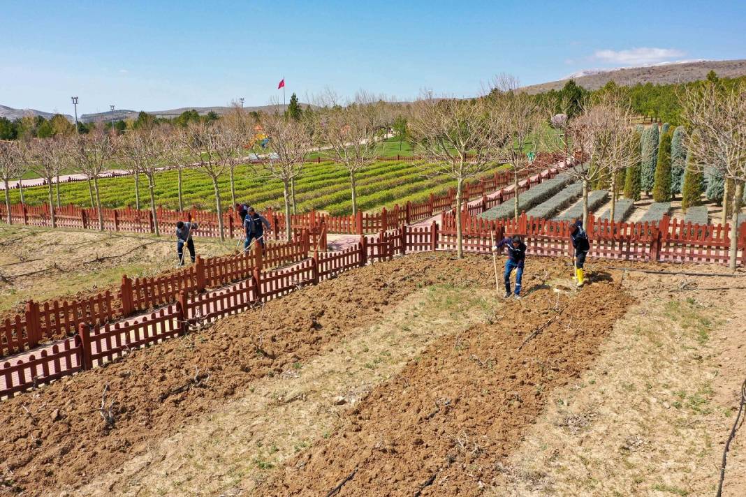 Zamanın yeşil aktığı Meram'da hummalı yaz hazırlığı! İşte karelerle o çalışmalar 9